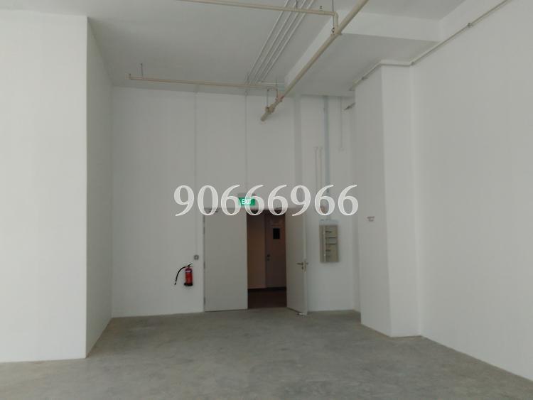 MAPEX (D20), Factory #126698312